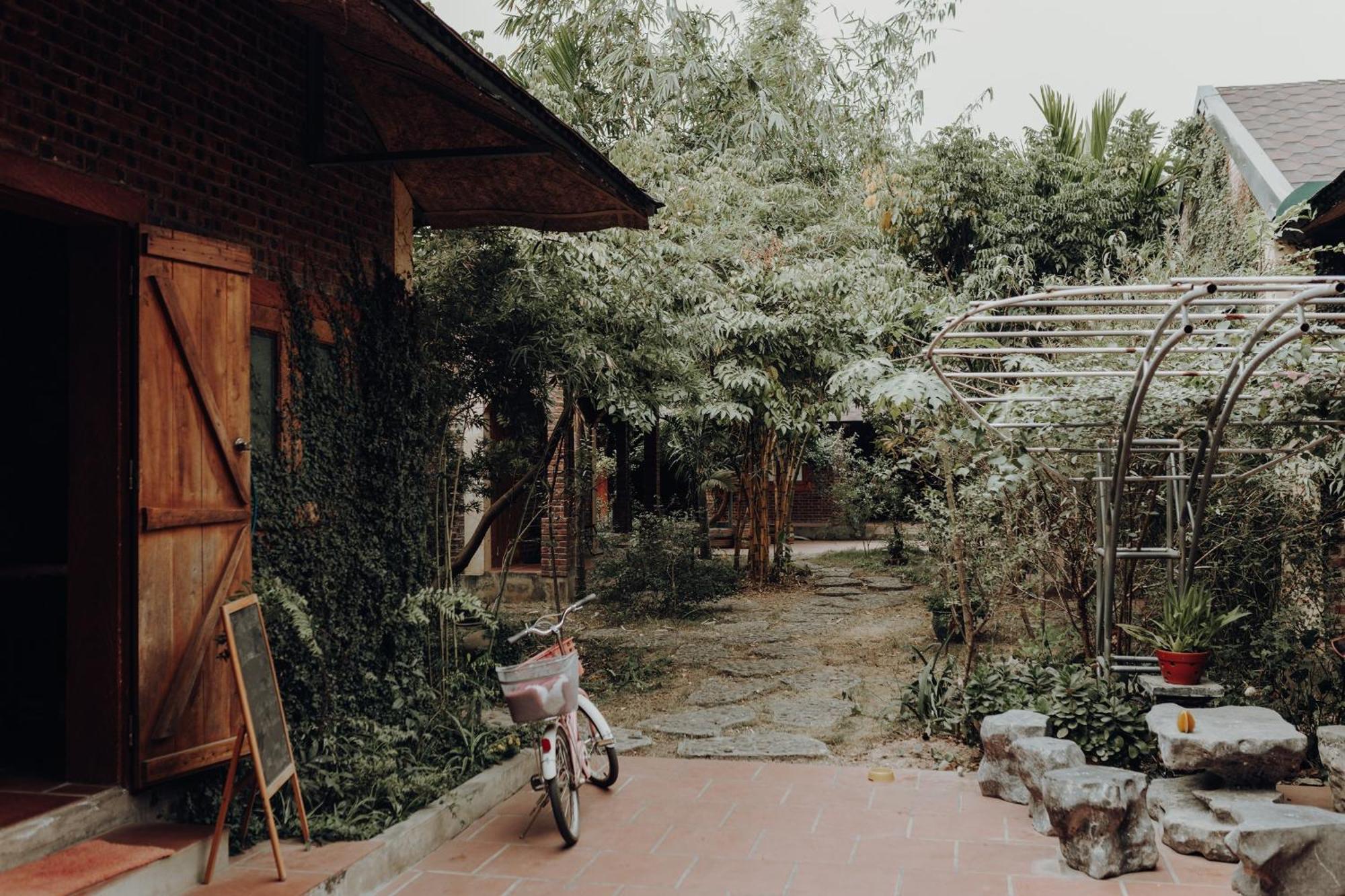 Ninh Binh Palm Homestay Luaran gambar