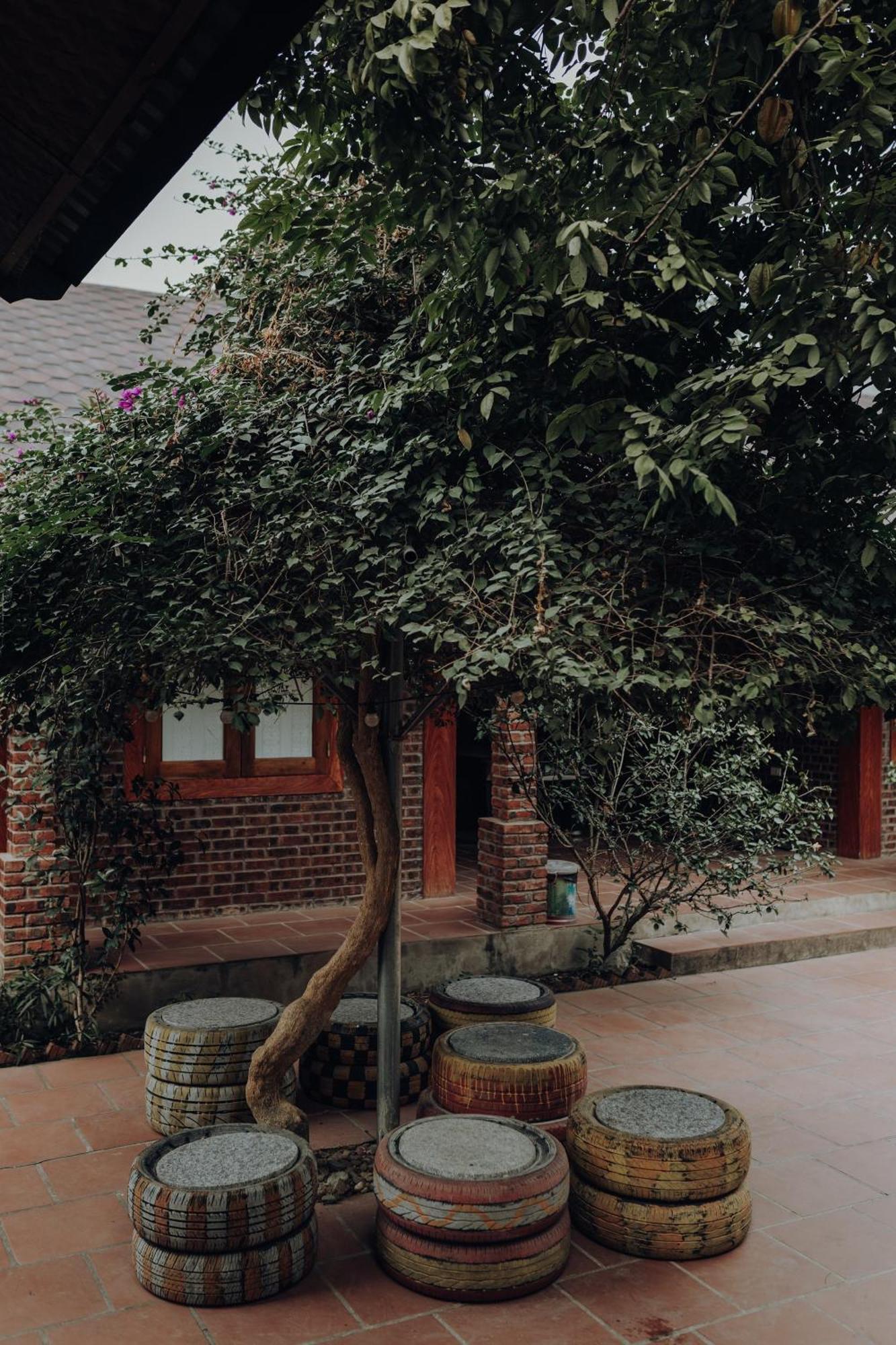 Ninh Binh Palm Homestay Luaran gambar