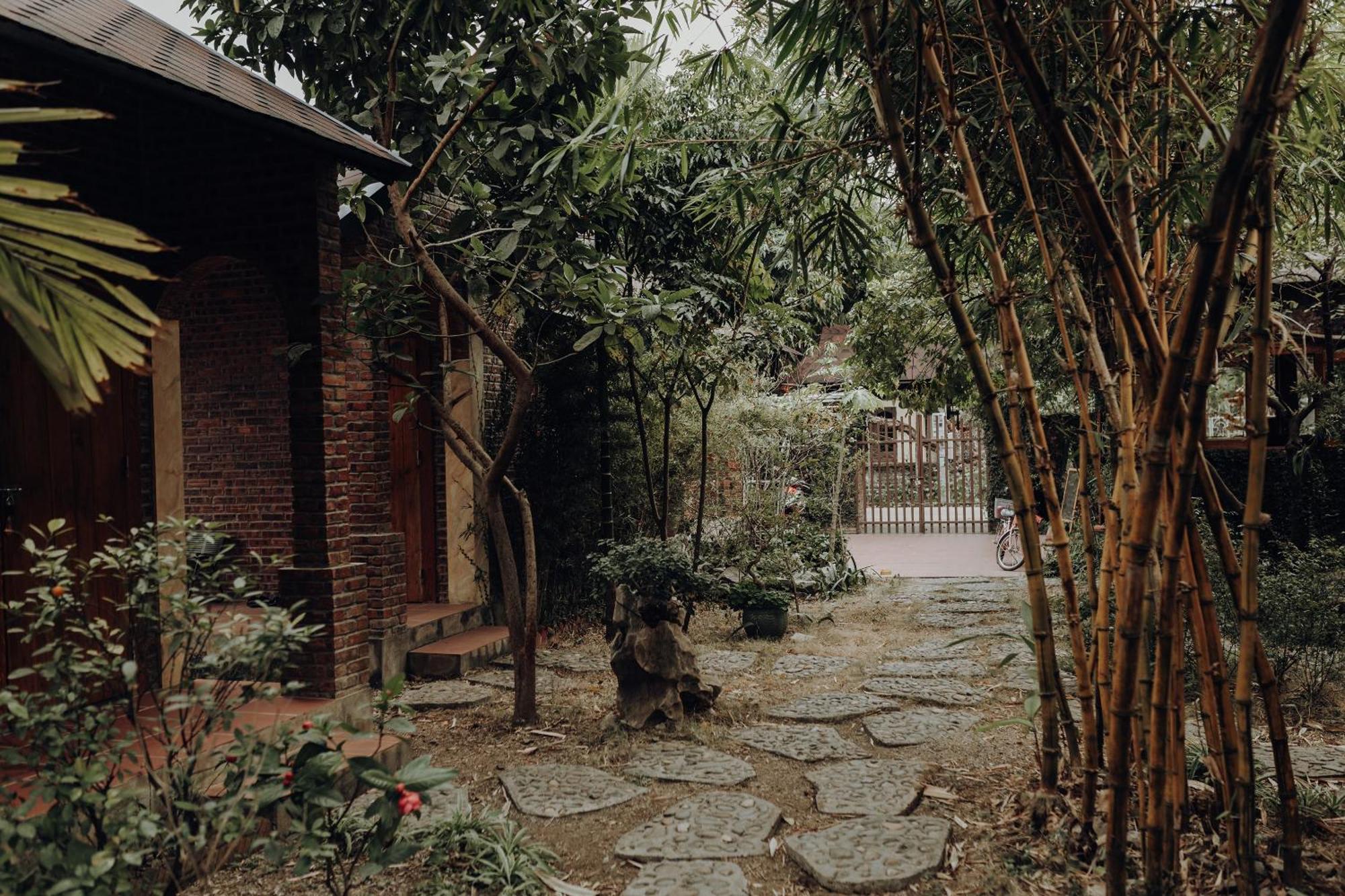 Ninh Binh Palm Homestay Luaran gambar