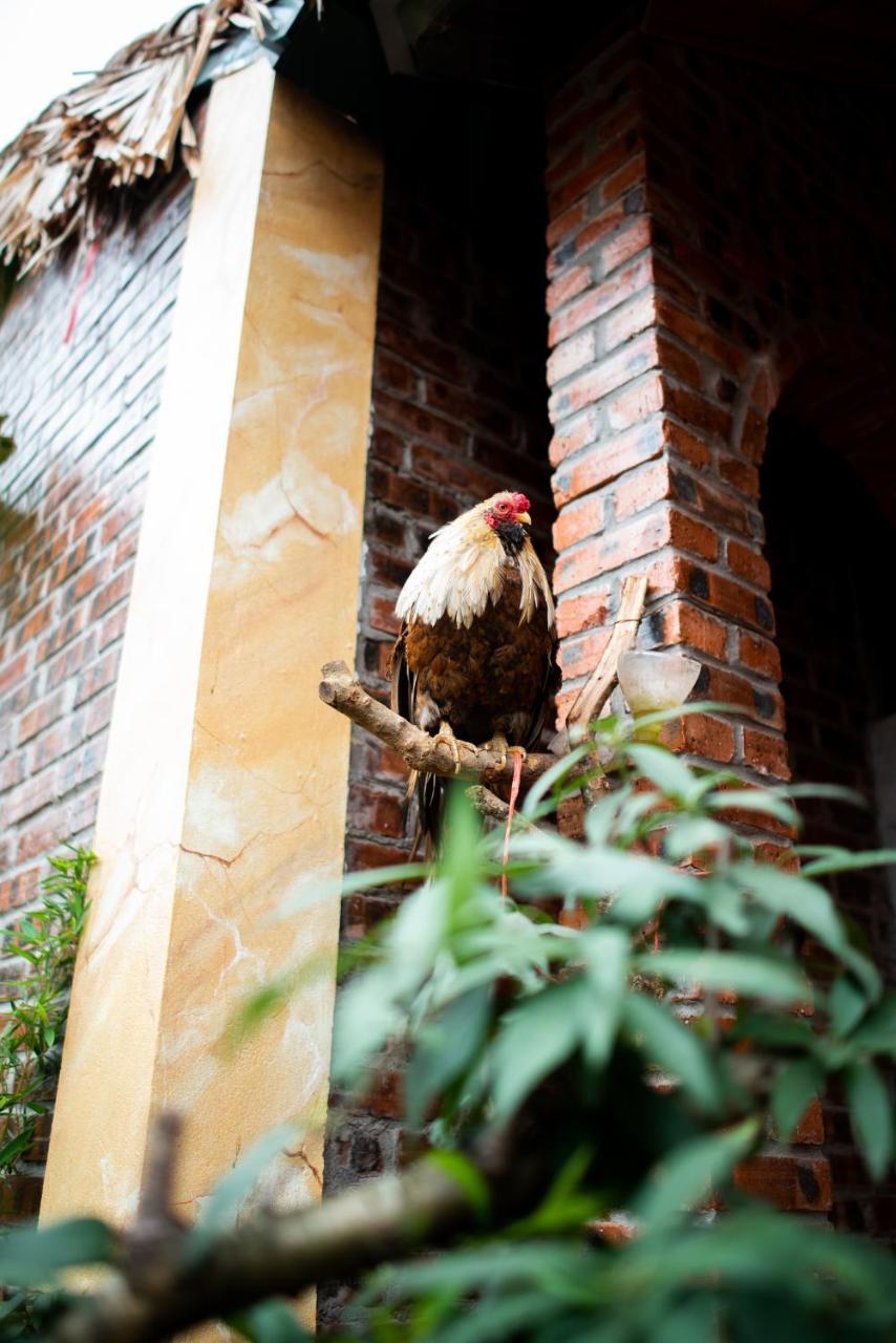 Ninh Binh Palm Homestay Luaran gambar